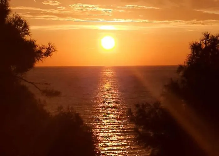 Likya * Karadere (Aegean)